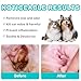 Kopmath Dog Ear Drops, Dog Ear Cleaner Drops, Ear Infection Treatment for Dogs and Cats, Natural Herbal Ear Cleaning Solution for Dirty,Itchy,Smelly,Inflammed Pet Ears, 2 oz*2 with Dropper