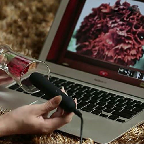 SVAKOM Gaga connected to a laptop displaying camera feed