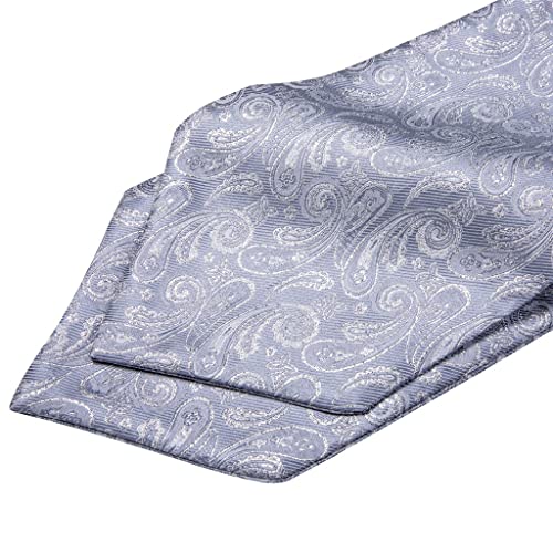 Renslat Men's Tie Set Vintage Floral Jacquard Silk Necktie Silver Cravat Retro Tie Handkerchief Pocket Square Set (Color : A, Size : One Size) #TOP3