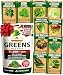 10 Heirloom Lettuce and Leafy Greens Seeds - 1500 Seeds - Non Gmo Seeds For Planting - Kale, Spinach, Butter, Oak, Romaine, Iceberg, Bibb, Arugula | Hydroponic Home Vegetable Garden | Microgreen Seeds