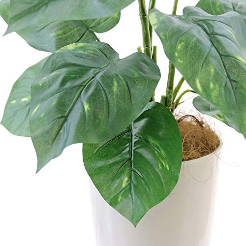 光触媒 Ct触媒の人工観葉植物のメリット デメリット 忙しい方 一人暮らしの方 無精者の方にピッタリ だけど Living With Plants 光触媒 Ct触媒の人工観葉植物のメリット デメリット 忙しい方 一人暮らしの方 無精者の方にピッタリ だけど Living With Plants