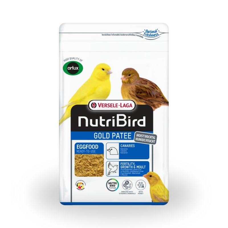 Pasta de Cría para Canarios VERSELE LAGA Gold Patee 10 kg – Alimento Enriquecido con Huevo y Miel – Nutrición Completa para Cría y Muda