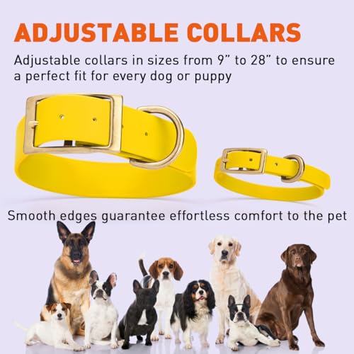 Image of Viper Biothane Heavy Duty Waterproof Dog Collar Strong Coated Nylon Webbing w /Solid Brass Hardware Odor-Proof Easy to Clean High Performance Fits Small Medium or Large Dogs, Lemon Yellow
