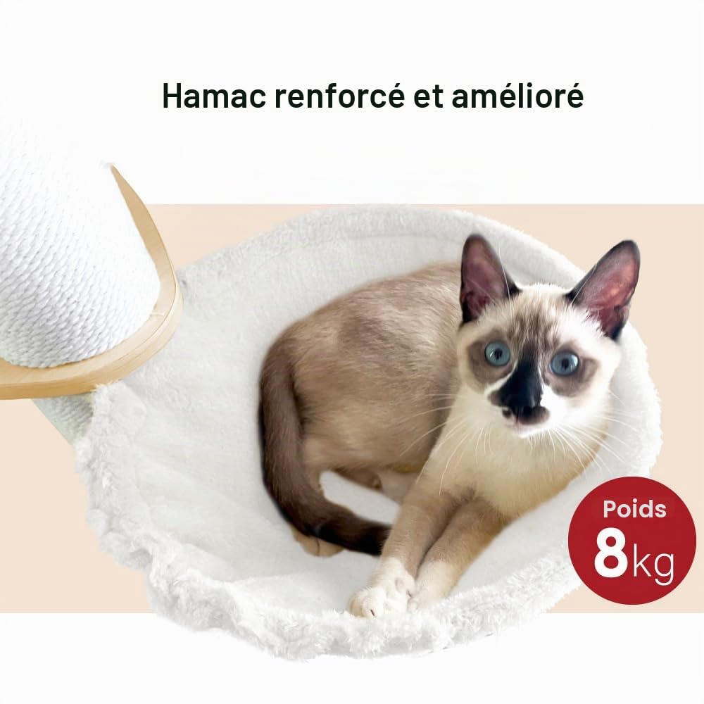 Arbre à Chat à Hauteur de Plafond – Centre d'activités d'escalade pour Chats à 5 étages avec griffoir, 4 Niveaux, 2 hamacs, réglable en Hauteur 190–260 cm, du Sol au Plafond, Peu encombrant et Stable
