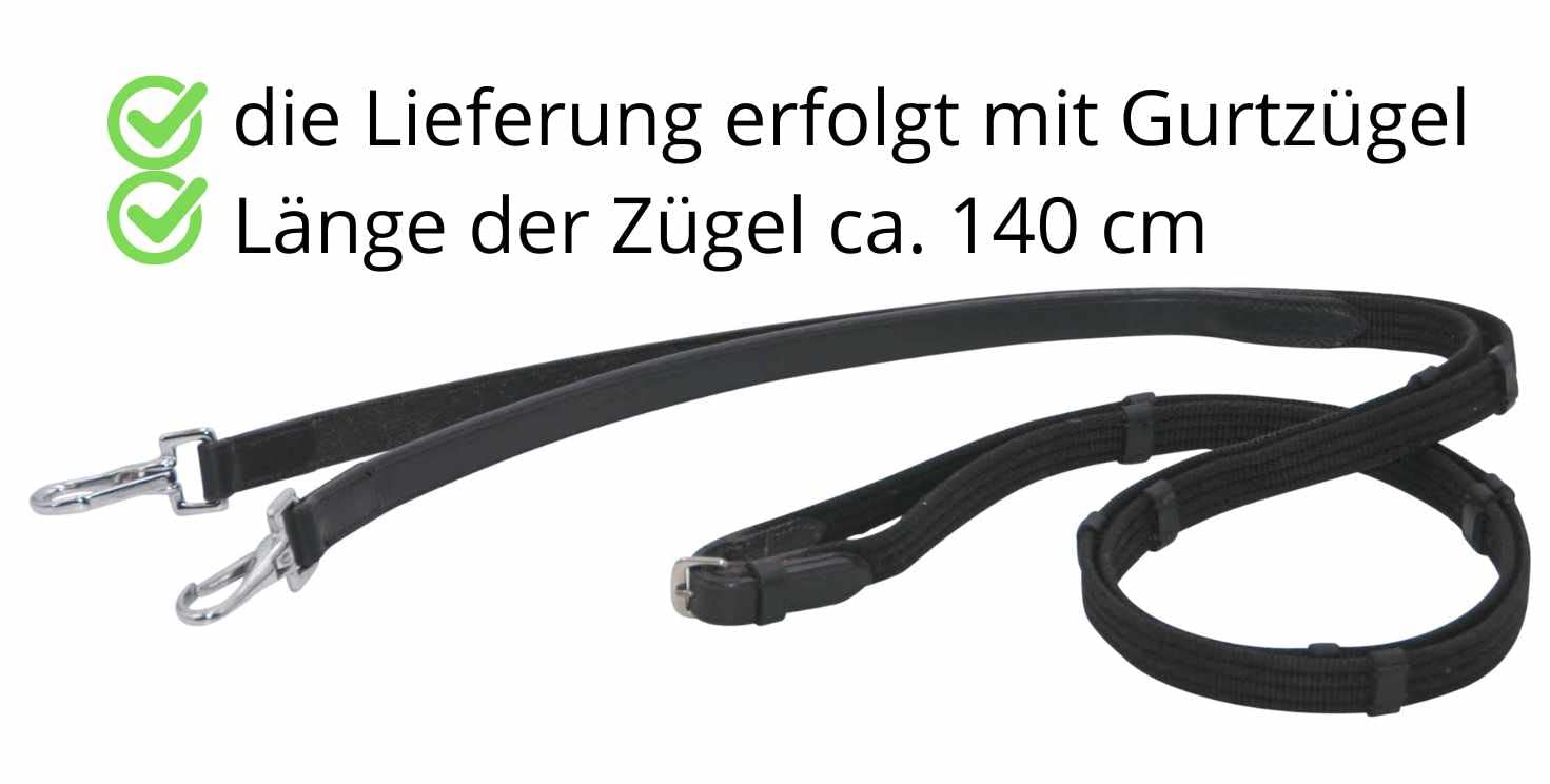 AMKA Zaum-Halfter Kombination schwarz mit Gurtzügel