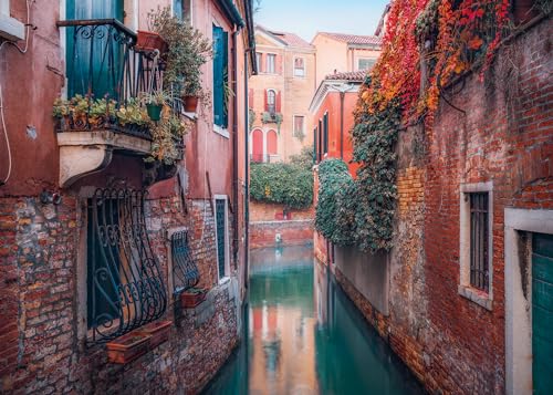 Ravensburger - Puzzle 1000 pièces - Automne à Venise