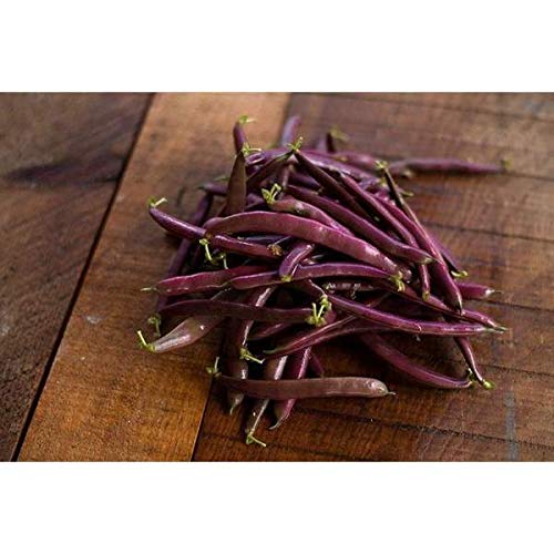 Creative Farmer Vegetable Seeds Fibreless Seeds - Beans Purple ?Seeds Seeds For Home Garden Home Garden Seeds (B07N4734XL) Amazon Price History, Amazon Price Tracker