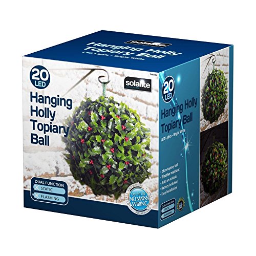 Solalite - Set di 4 Solar Powered Holly Berry arte...