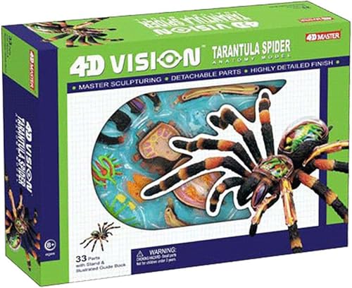 Modèle anatomique Spider 4D de précision scientifique à 33 pièces
