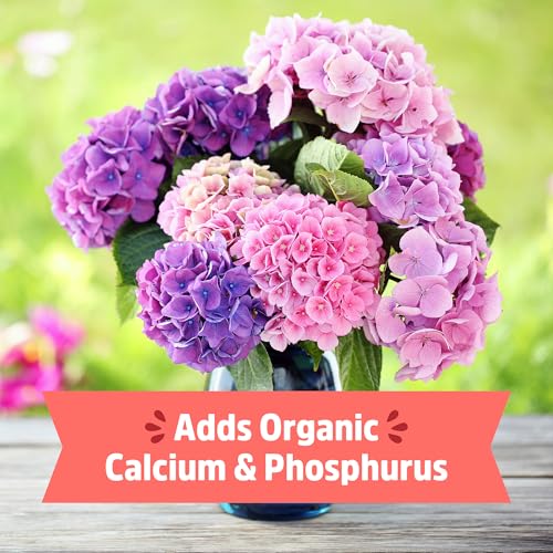 Back to the Roots 100% Organic Bone Meal | Made in The USA | Premium Nutrition for Indoor and Outdoor Plant Gardening