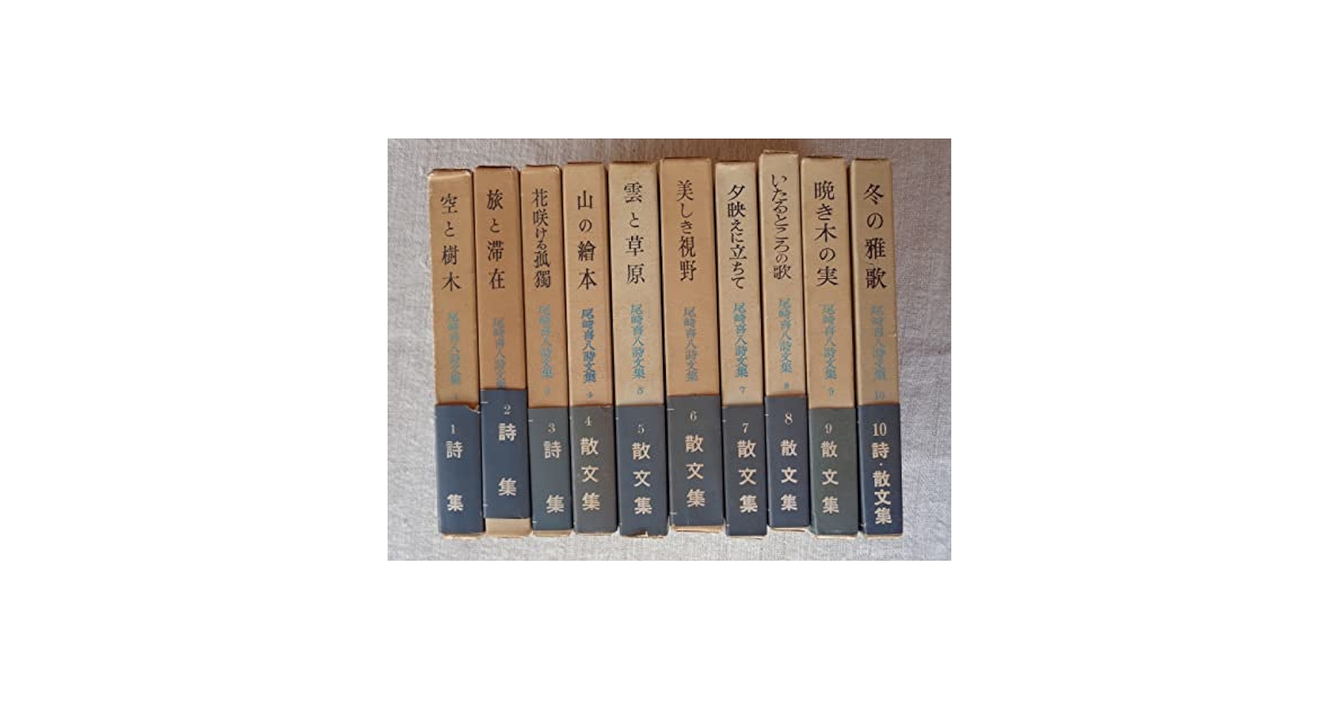 尾崎喜八詩文集全10巻 Amazon.co.jp: 尾崎喜八詩文集 全10巻セット : 尾崎 喜八