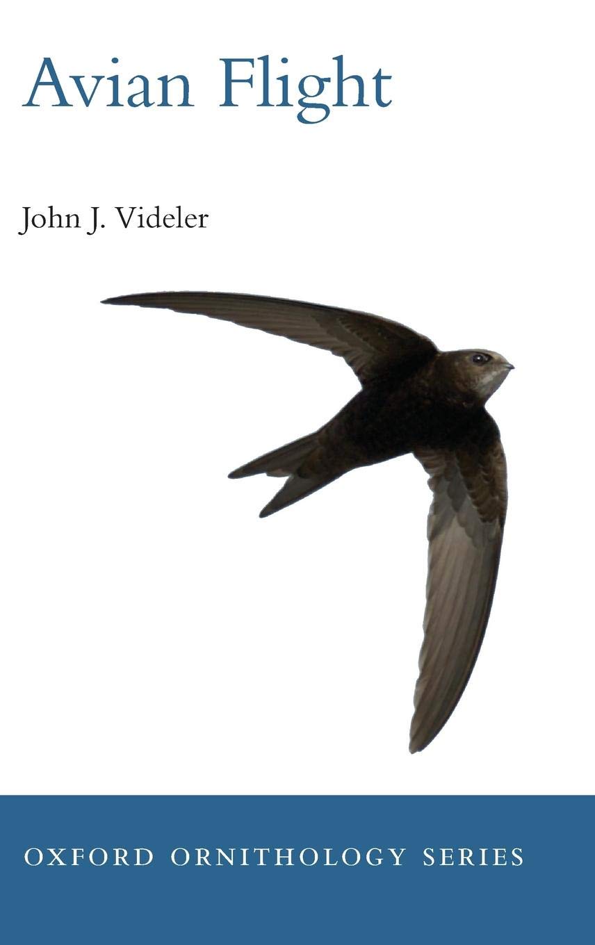 Avian Flight