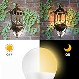 ChangM B0FNQB1GKF lato 2