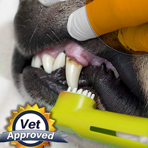 The Ultimate Dog Toothbrush Kit, 22-Pack, Pet Cat Toothbrush, Small Dog Cat Finger Toothbrush, Large Breed Care Tooth Brush, Complete Dental Kit for Pets