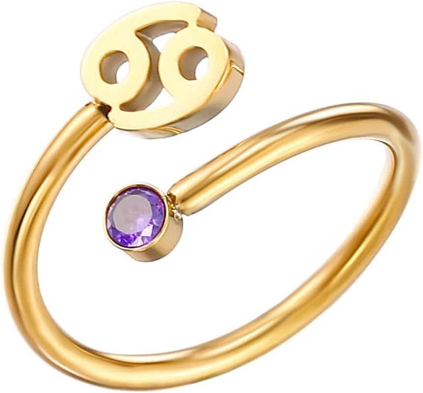 Unisex Stainless Steel Simple 12 Constellation Adjustable Open Amulet Ring Zircon Inlay