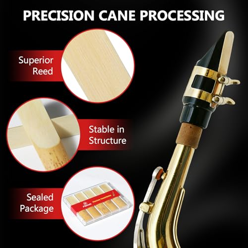 Fibnek 10 Pack Alto Saxophone Reeds Strength 2.5 - Standard Eb Alto Sax Reeds for Student Daily Practice, Easy to Play for Beginners, Plastic Box Storage