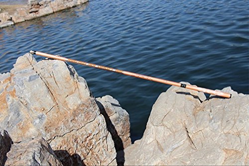 Canne à pêche carbone 4.8m rigide pour stopper les gros poissons sans effort