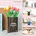 Book-Shaped Flower Vase, Cute Bookshelf Decor, Unique Black Vase for Home Decor & Cultural Flavor Acrylic Flowers Vases for Bedroom & Home Office Decor, A Book About Flowers (Black)