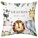 Hyturtle Personalized Boys Girls Nursery Throw Pillow (Insert Included) Gifts -Nursery Cushion -New Baby Boy Girl Gift -Baby Shower Pillow - Adventure Custom Name Sofa Couch Cushion Home Decor Pillow