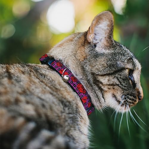 Collar para gato de 20 cm mediano con cierre anticaídas para exploradores 3