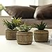 MyGift 6 Inch Mini Artificial Green Succulent Plant in Rustic Brown Wood Barrel Planter Pots, Set of 3