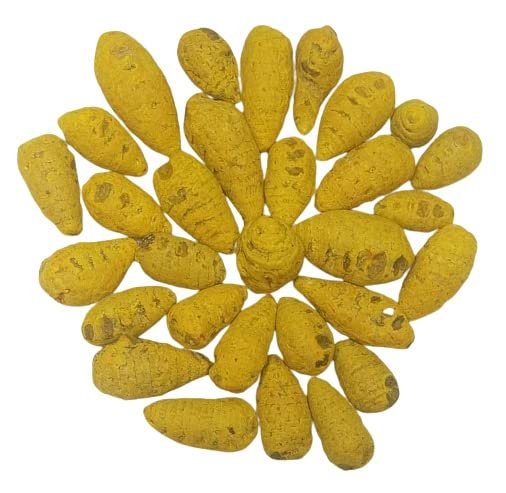 GUNDU MANJAL 500gram Gundu Manjal Round Turmeric for Face and Body Haldi - gives Bright and Glowing Skin - Organic Turmeric