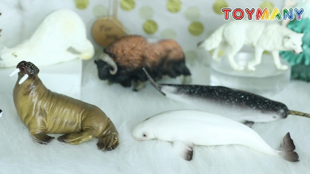 Watch Toymany 12PCS 4-7