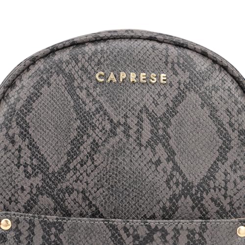 Image of Caprese Canes Casual Backpack, Small | Fashion Backpack for Women with Adjustable Strap & Secure Zip Closure | Spacious, Versatile for Everyday Outings and Travel | Ideal for Students
