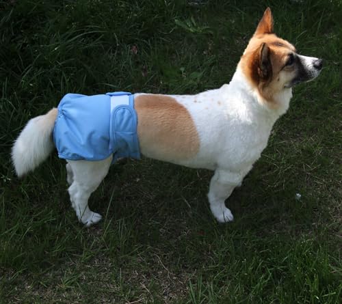 Couches réutilisables chiens JoyDaog L pour protéger votre intérieur