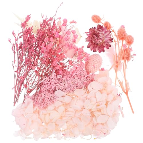 GARIOUANS hCt[ G{XHp ԃZbg DIYNtgp~jhCt[ RȐFʂƌ`ێ tHgt[AN