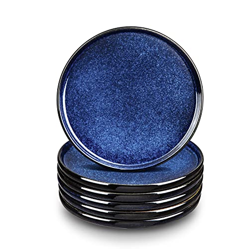 vicrays Ceramic Dinner Plates Set - Porcelain 10 Inch Flat Steak ...