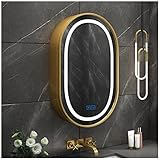 Badezimmer-Spiegelschrank mit Beleuchtung und Stauraum, beschlagfreier, an der Wand befestigter Badezimmer-Medizinschrank mit dimmbarem Licht und Berührungsschalter, oval 19,7 x 31,5 Zoll, G