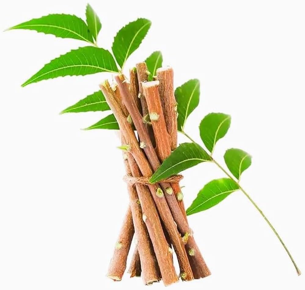 Natural Neem Datun Twigs for Teeth Cleaning Herbal Oral Care Chewing Sticks for Fresh Breath and Healthy Gums Daily Use. (Pack of 15)