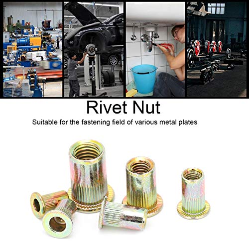 YWBL-WH 200 pezzi Dadi con inserto per rivetti