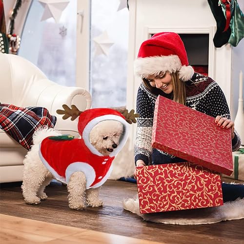 Weihnachten Haustier Kleidung, Hundekostüm Weihnachte, Haustier-Elch-Weihnachtskostüm, Weihnachten Katzen Kleidung, Pet Hoodies warme Hundemantel für Katzen Hunde Schnauzer Teddy Pudel Chihuahua (M)