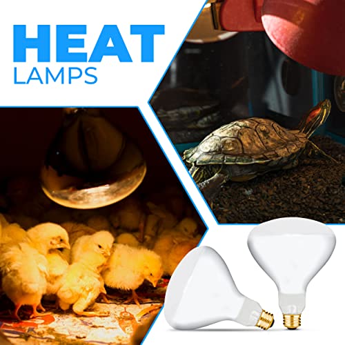 Ohlectric Incandescent Light Bulb - Infrared Lights - Heat Reflector Light For Recessed Fixtures - Standard Shape, Medium Base Light Bulbs - Floodlight Bulbs For Wide Beam - 250 Watt, Clear - Ol-45279 #TOP5