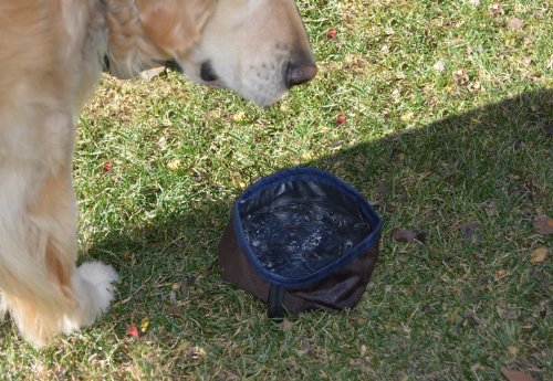 **Made In Usa 100% Waterproof Washable Fabric Collapsible Folding Travel Pet Dog Water Bowl (Jogging, Hiking, Camping Or Car)(Sage Green With Black Trim; Trail Runner) #TOP6