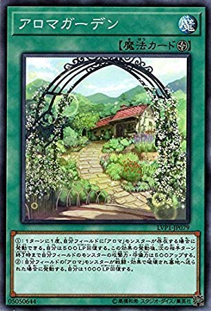 �V�Y��/�A���}�K�[�f���i�m�[�}���j/LINK VRAINS PACK