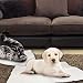 Manta autocalentable para Gatos & Perros,Manta Eléctrica para Mascotas Prueba de Agua...