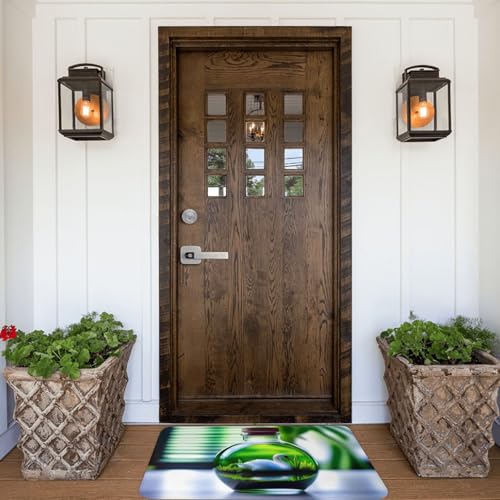 PHAYAH Zerbino con cigno bianco in una bottiglia, 40,6 x 61 cm, per interni, per porta anteriore e posteriore, per patio, ingresso, garage, patio, casa, portico