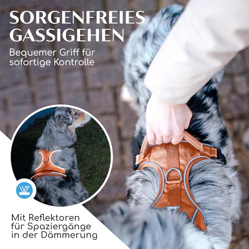 FREUDENTIER Hundegeschirr mit Mesh-Polsterung - Höchster Komfort, bombenfester Sitz & maximale Sicherheit - Anti-Zug-Frontring - Brustgeschirr für große, mittelgroße und kleine Hunde (Orange, M)