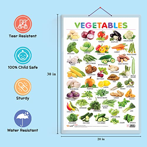 Image of GO WOO Combo of 2 Alphabet and Vegetables Educational Posters for Preschool Kids Classroom Study | Learning- Charts for Kids Learning (20 inchX30 inch Inches)