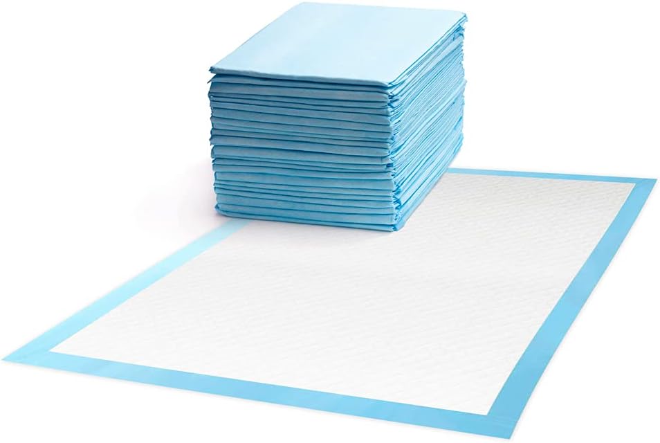 CarebyMail Healthcare Disposable Incontinence Bed Philippines Ubuy