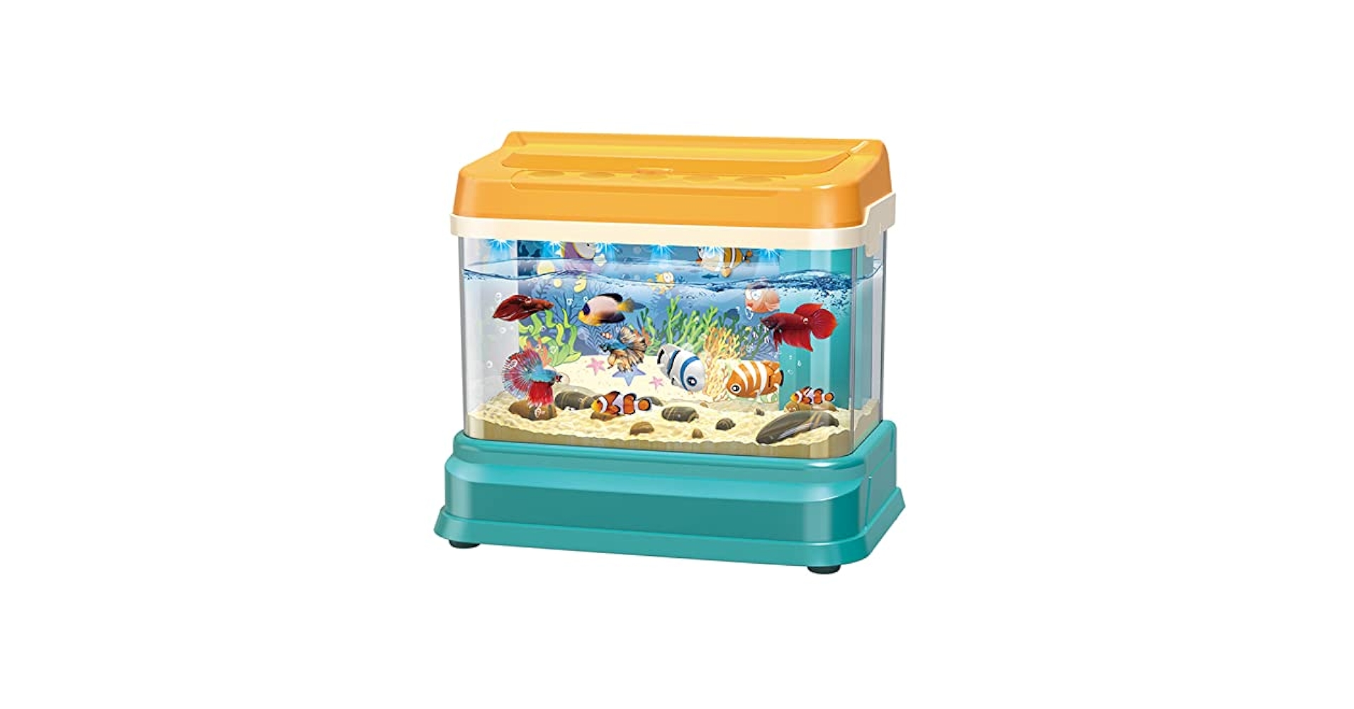 水槽 Toy I bought a small aquarium I found on Amazon and set it up