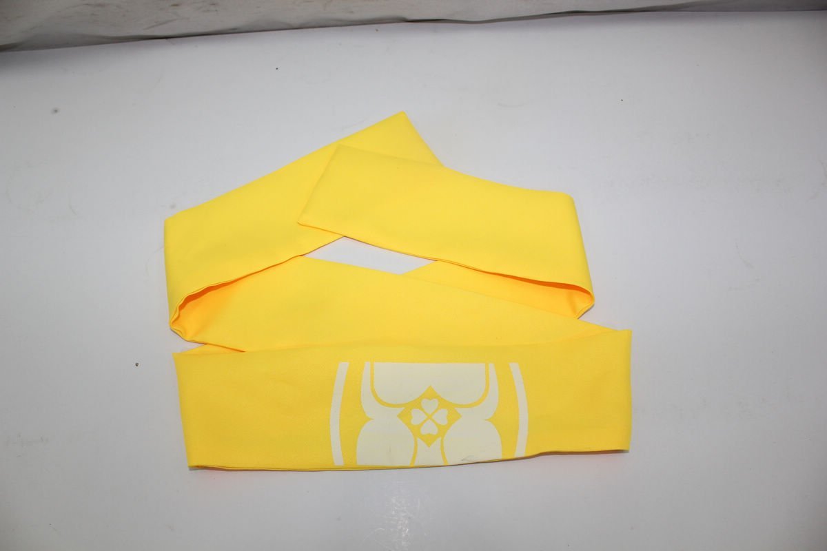 Amazon.co.jp: [legendcos] ももいろクローバーZももクロもリフだョ