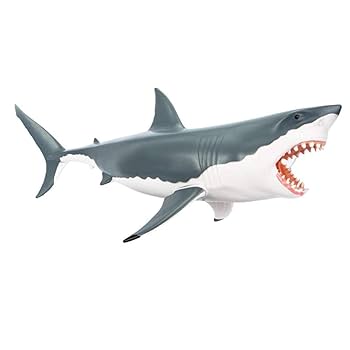 ★本物★大型 サメ あご骨格 サメ田氏 on X: 