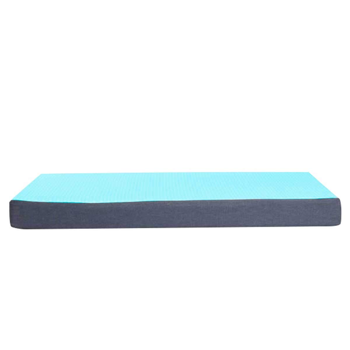 Baldiflex Łóżko dla psa 115x70 cm, 8+2 cm, Wysokość 10 cm
