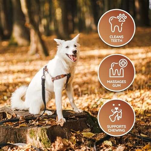 Wildfang® Leder Kauknochen Hund, Größe M – zahnpflege Hund, Hundespielzeug, kauspielzeug & kauknochen Welpen – für mittlere Hunde (10–15 kg), 1 Stück