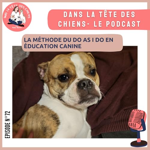 Le Do as I do en &eacute;ducation canine