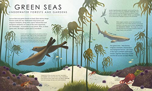 Blue Planet II: For young wildlife-lovers inspired by David Attenborough's series (BBC Earth) - Image 5